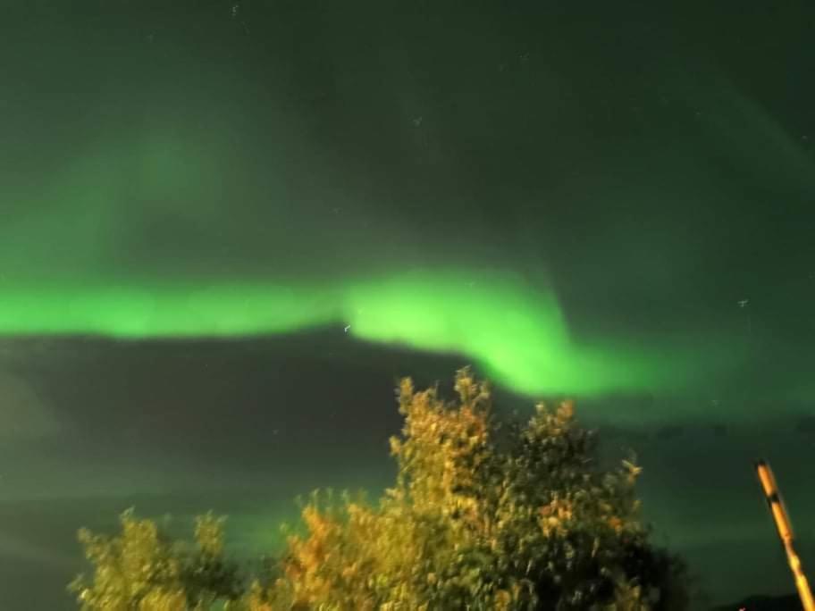 Aurora Rooms In Shared Apartment Nr2 We Are Doing Privet Northen Lights Trips, Reindeer Trip And Fjord Sommaroy Trip Tromsø Extérieur photo